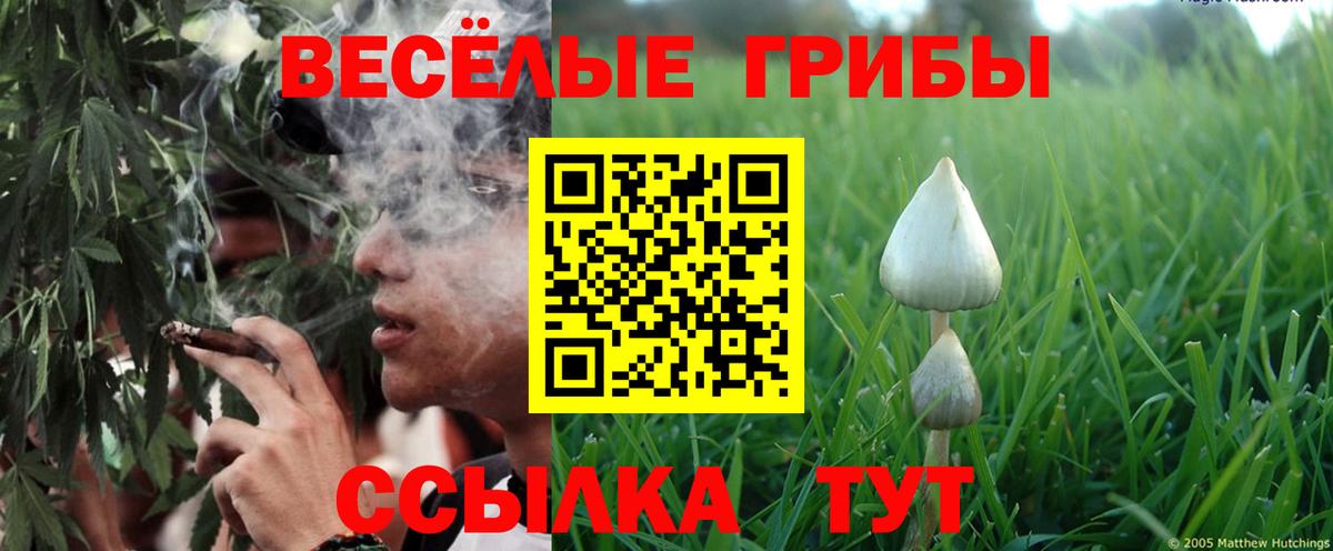 Псилоцибиновые грибы Cubensis  Галлюциногенные грибы GOLDEN TEACHER  дарнет шоп  Вход с VPN  Знаменск 