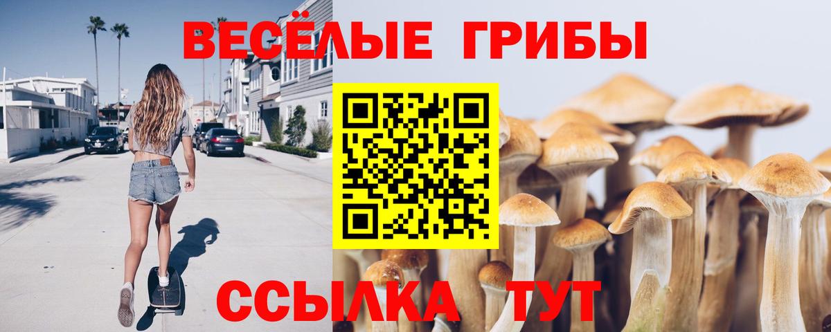 Псилоцибиновые грибы прущие грибы Знаменск